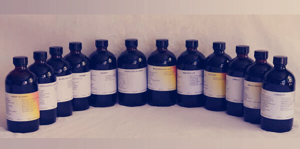 Last Supper 12 - Master Fast Herbal Tinctures